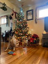 Spotty - Photo 18