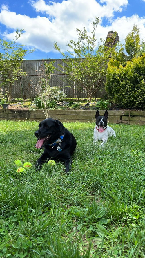 Spotty photo 14