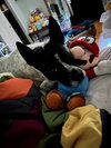 Spotty - Photo 12