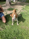Coco - Photo 20