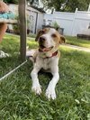 Coco - Photo 16
