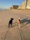 Coco - Photo 15
