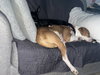 Coco - Photo 24