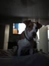Coco - Photo 10