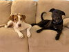 Coco - Photo 8