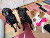 Coco - Photo 6