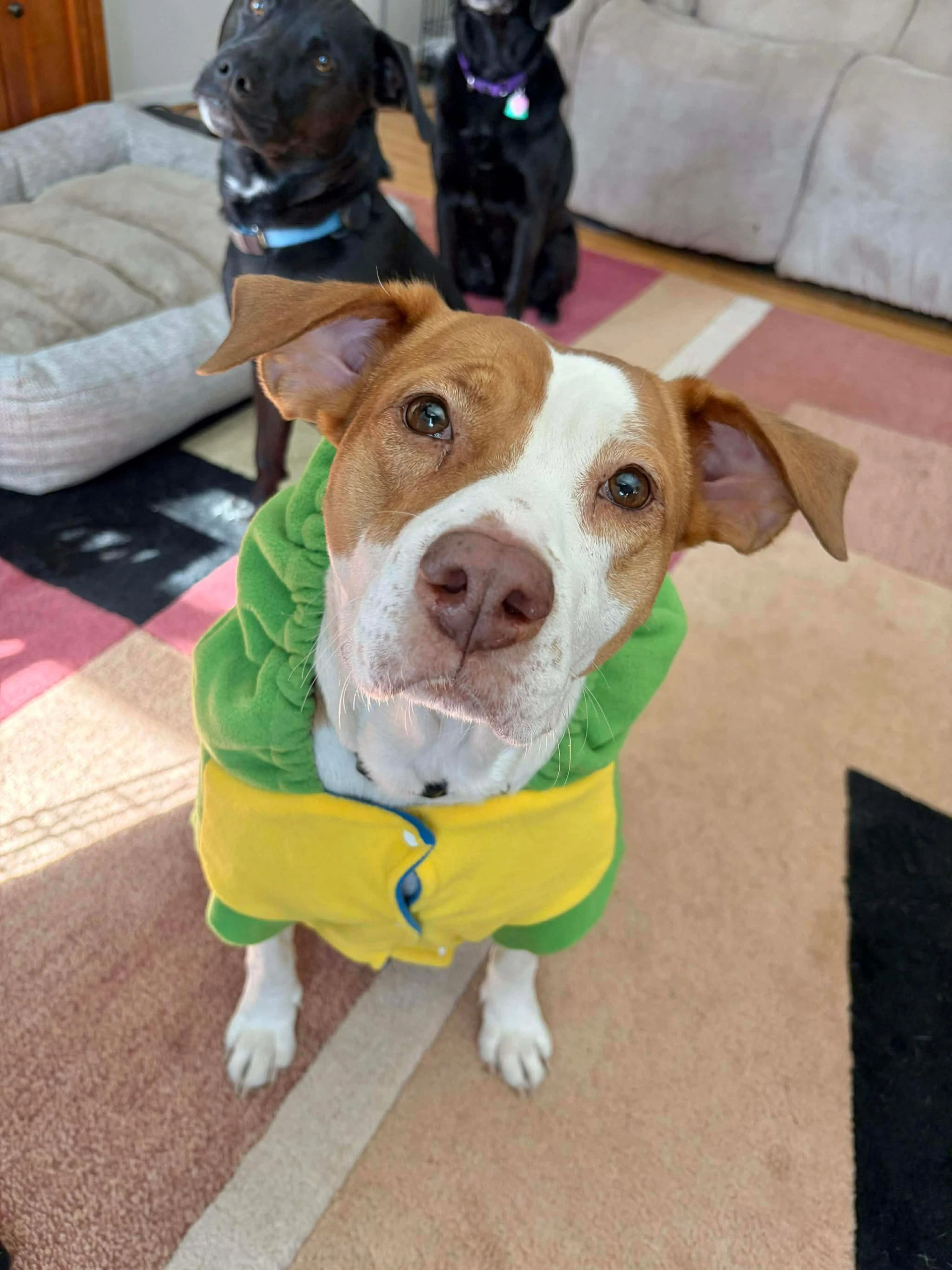 Coco
