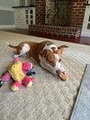 Coco - Photo 5