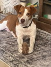 Coco - Photo 8