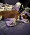 Coco - Photo 9