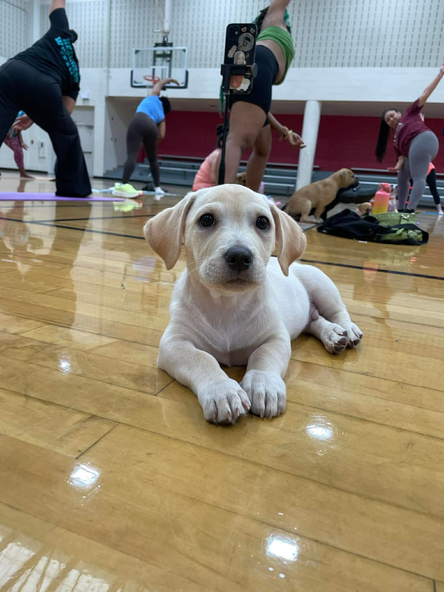 Kai, photo 25