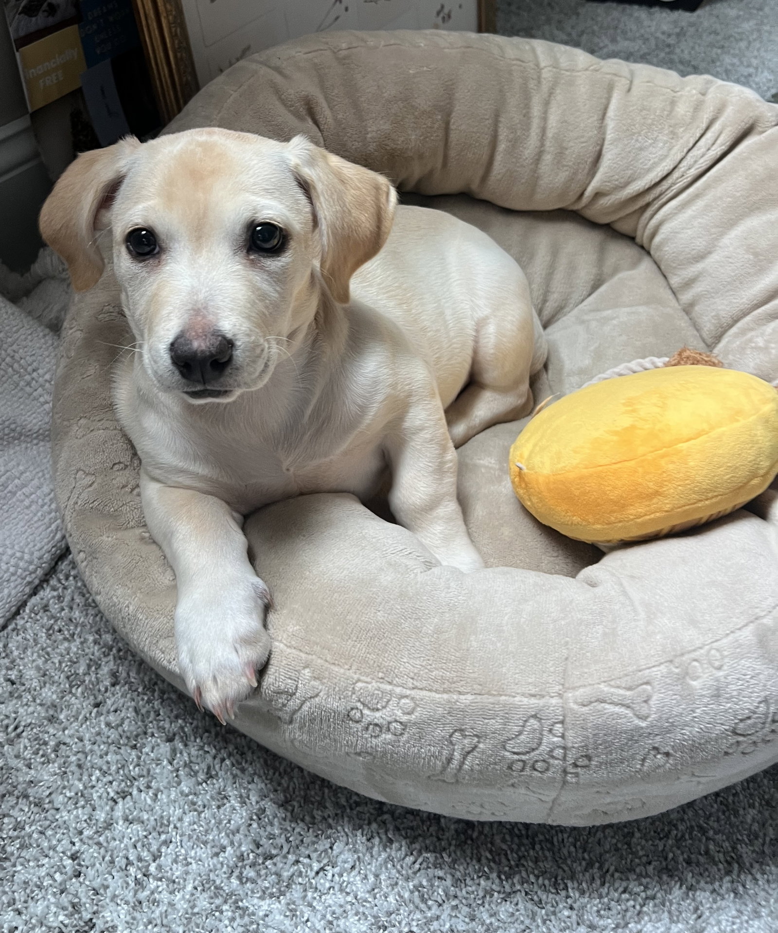 Kai, photo 22