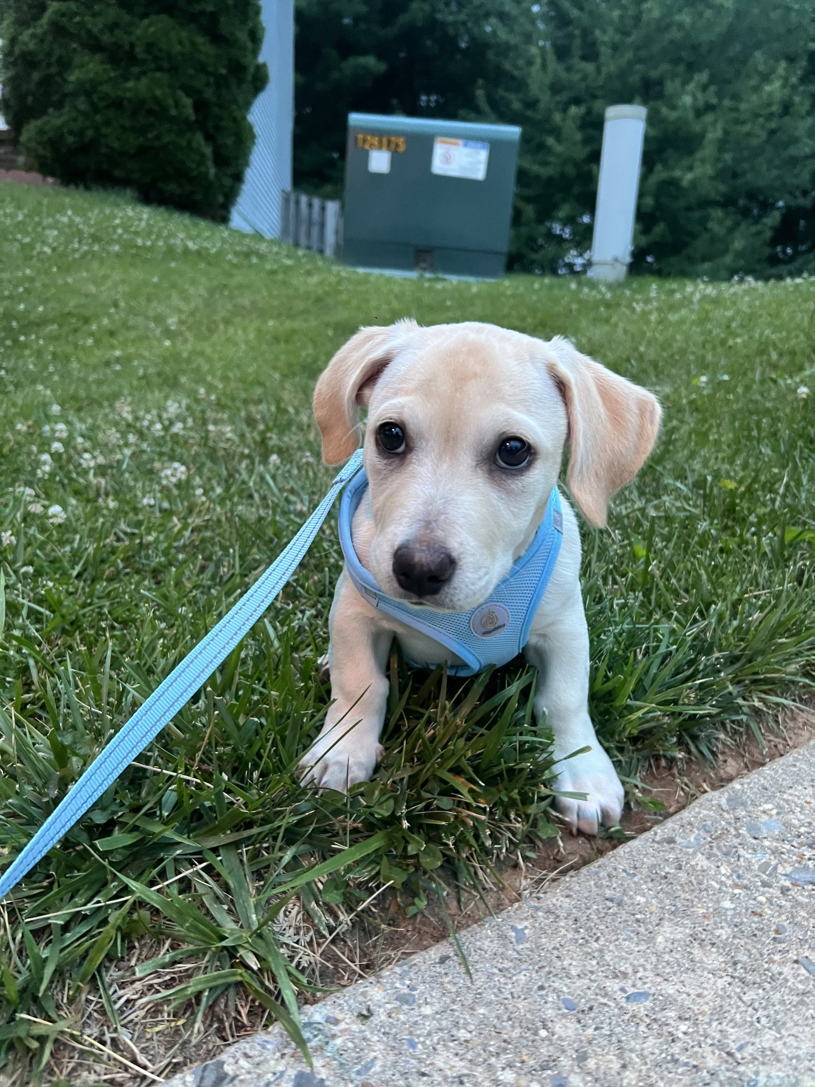 Kai, photo 21