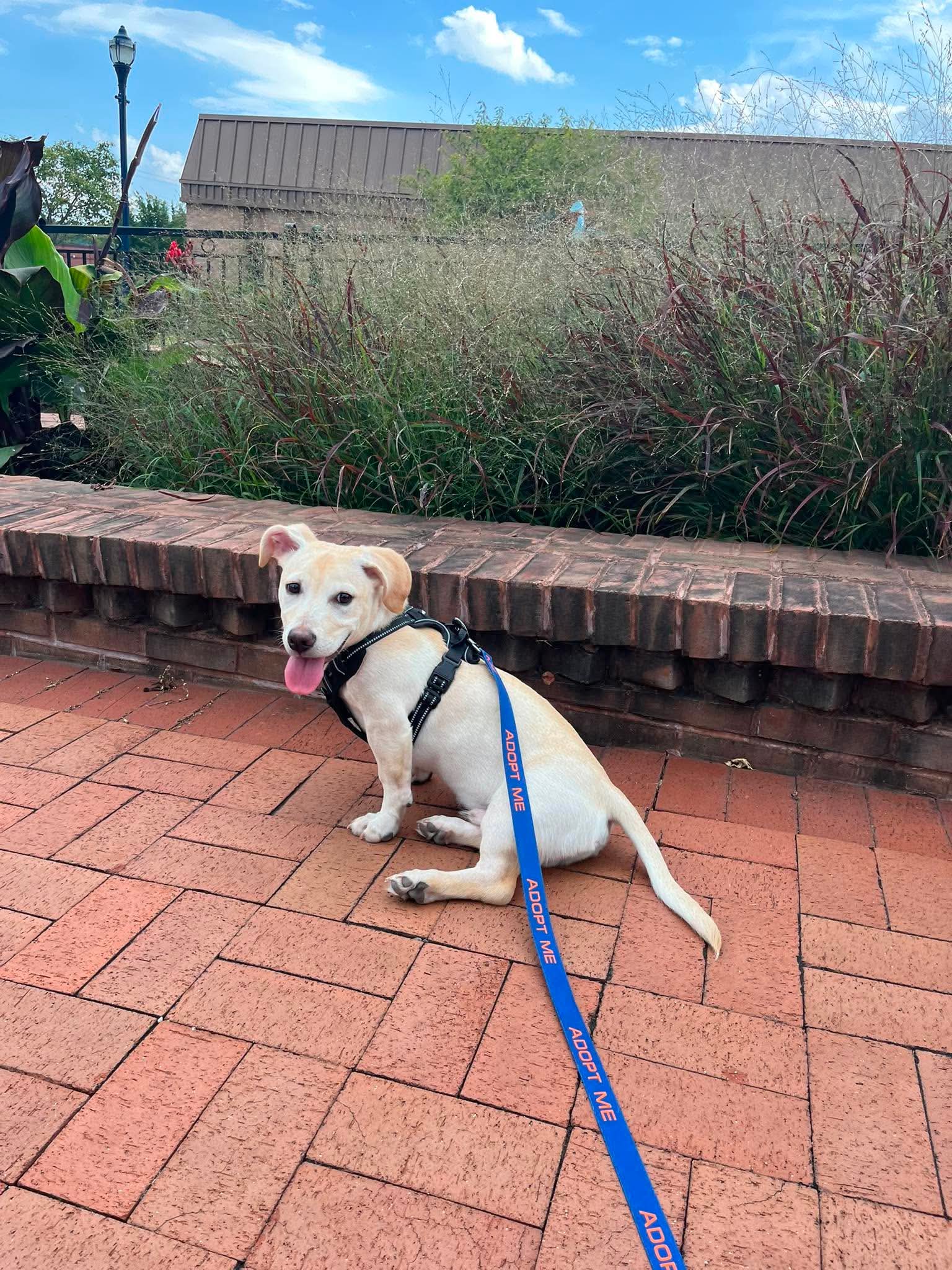 Kai, photo 13