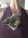 Taco (Sticky Pants) - Photo 4