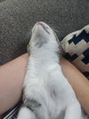 Taco (Sticky Pants) - Photo 8