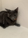 Cayenne - Photo 13