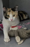 Jinxie - Photo 3
