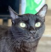 Elvira - Photo 3