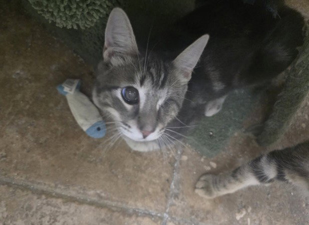 Freddy, photo 5
