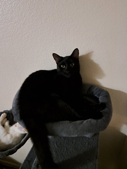 Sammy photo 3