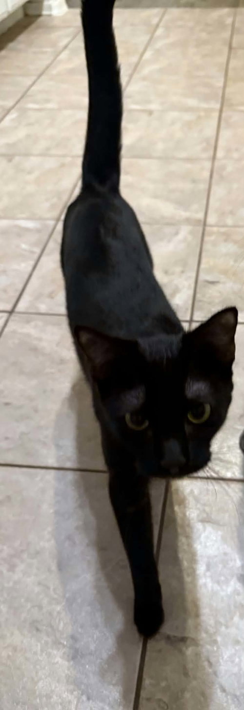 Luna photo 3
