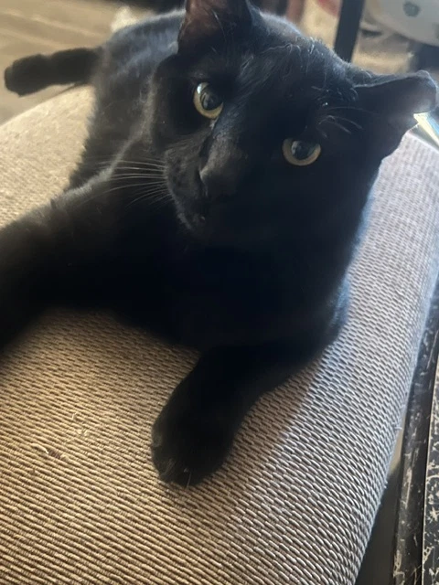 Santos