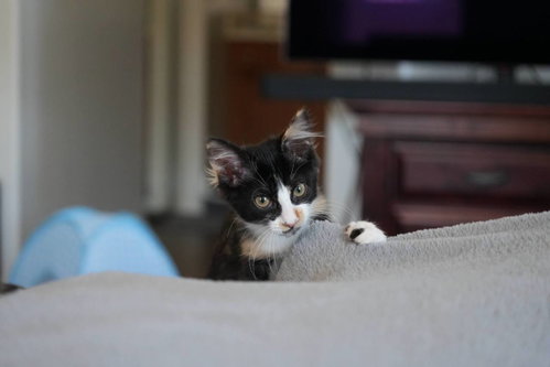 Elodie photo 2