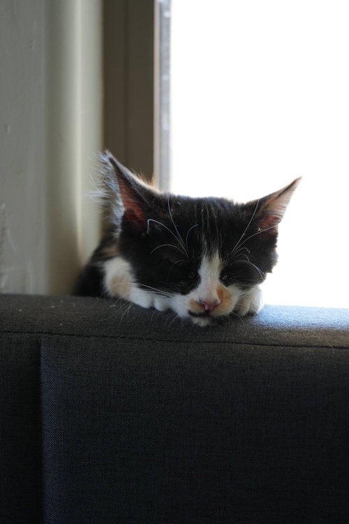 Elodie photo 11