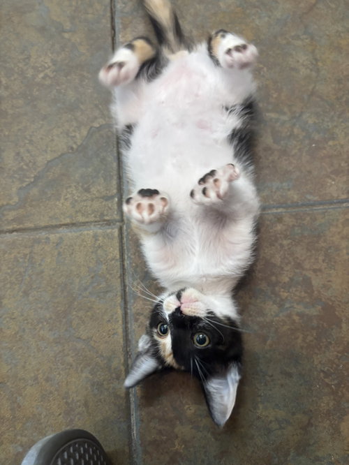 Esther photo 8