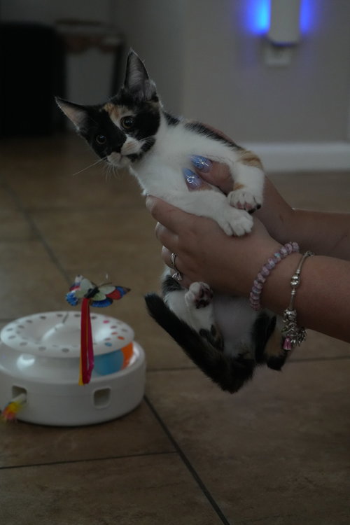 Esther photo 7