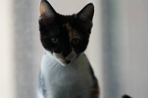 Esther photo 2