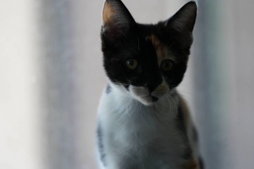 Esther photo 6