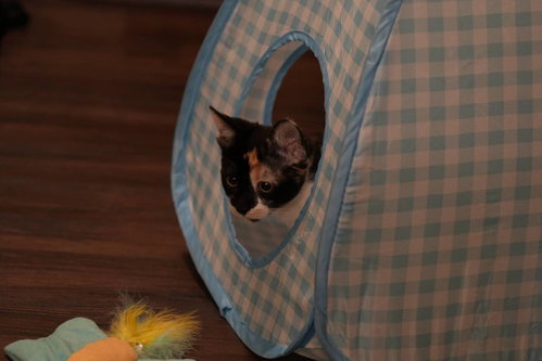 Esther photo 5