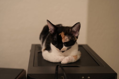 Esther photo 10