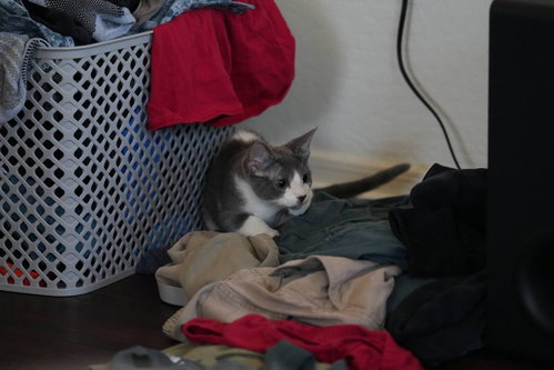 Evelyn photo 2