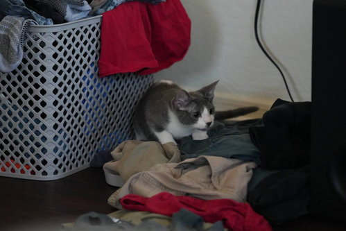 Evelyn photo 3