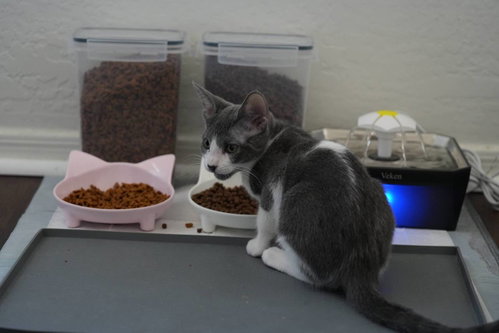 Evelyn photo 5