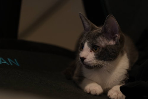 Evelyn photo 8
