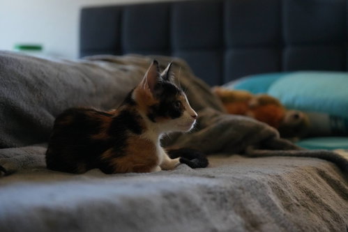 Elina photo 7