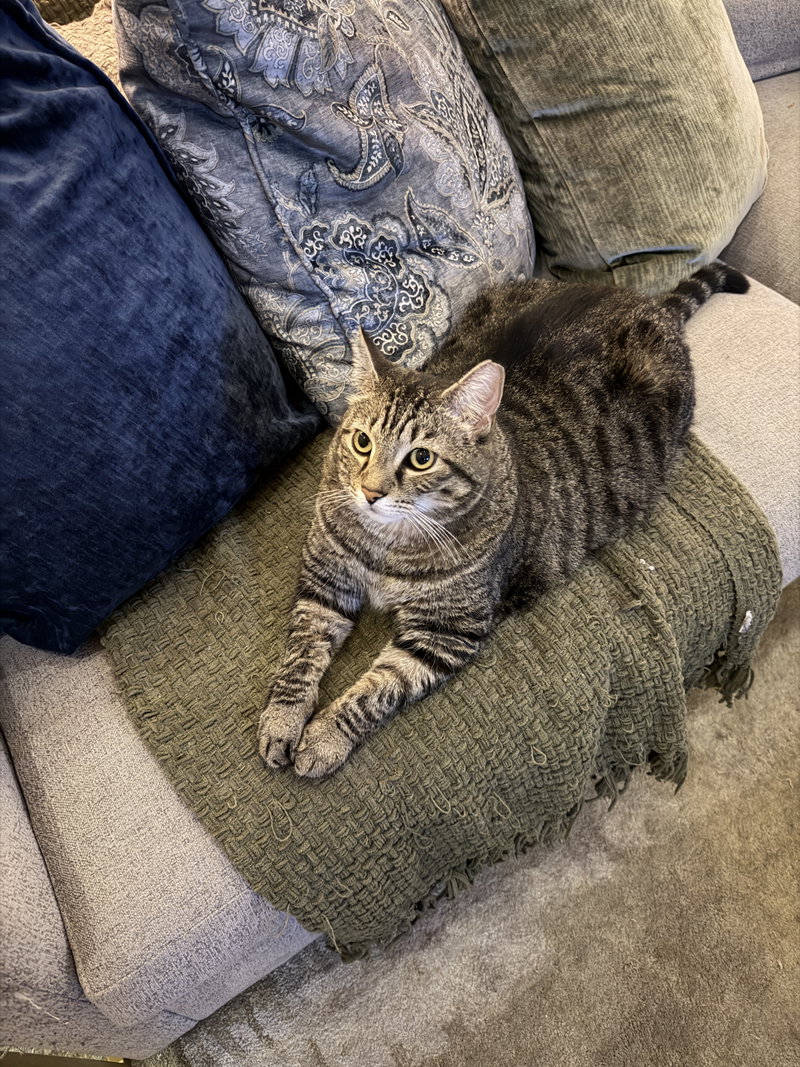 Momma, photo 5