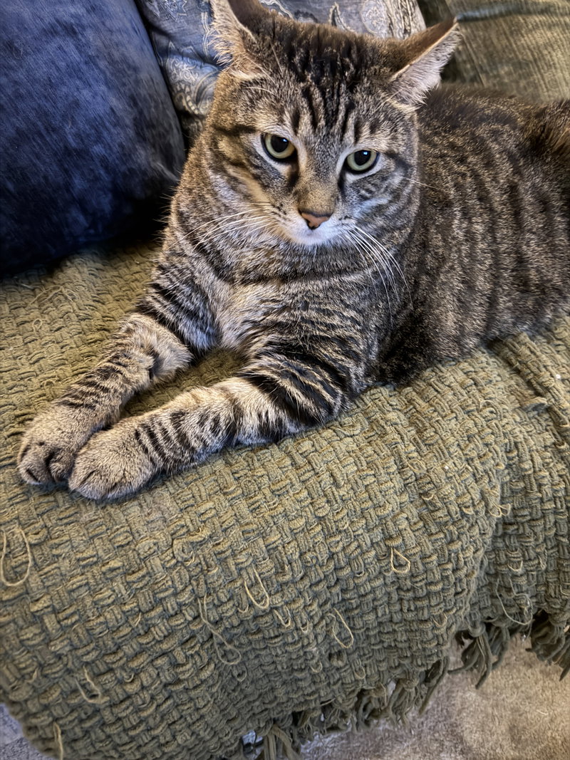 Momma, photo 6