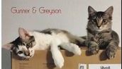 Photo 5 of Greyson