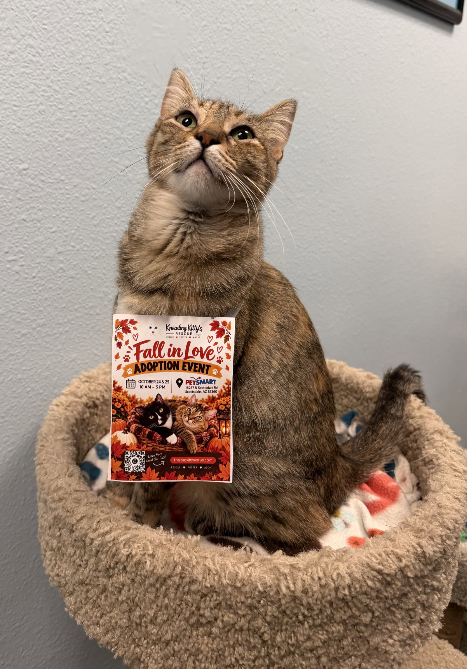 Claire