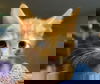 Jasko