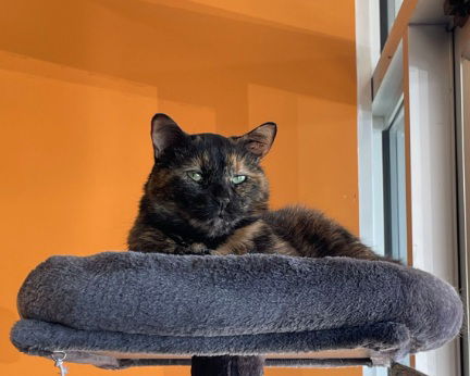 Matilda