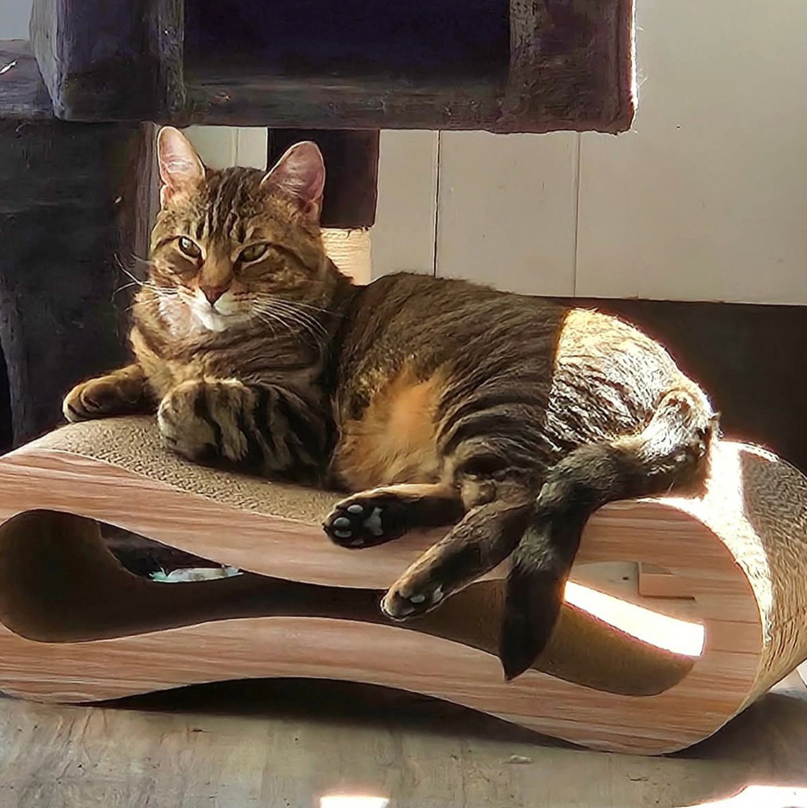 Loki