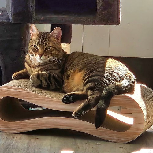 Loki