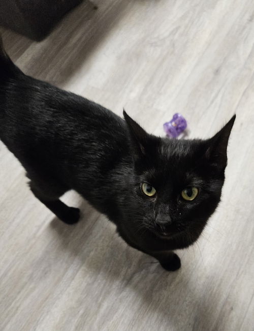 Salem
