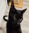 Salem